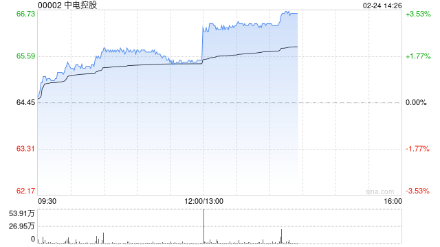 中电控股公布2024年业绩 股东应占溢利117.42亿港元同比增长76.44%